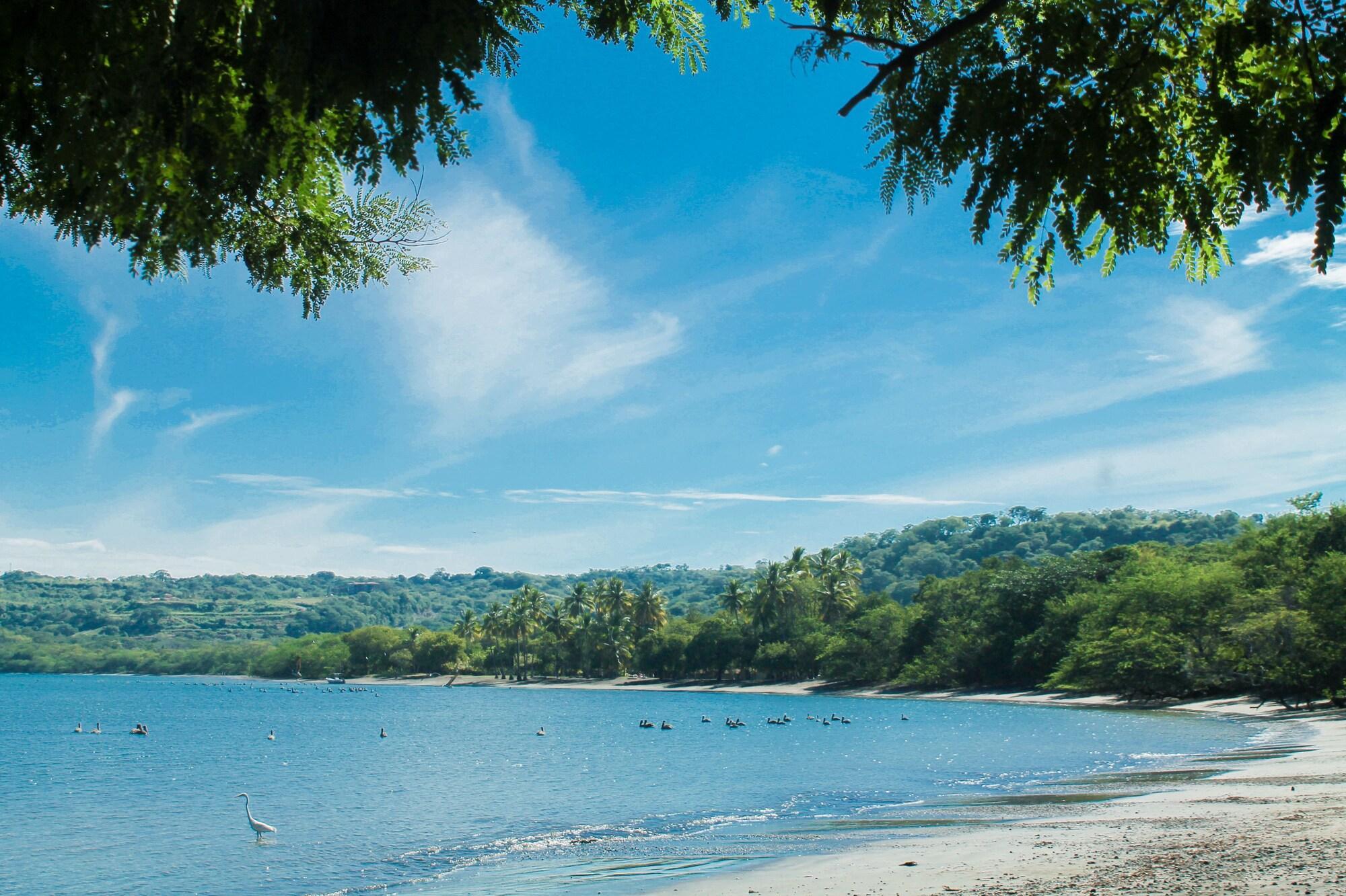 Papagayo Golden Palms Beachfront Hotel Panamá エクステリア 写真