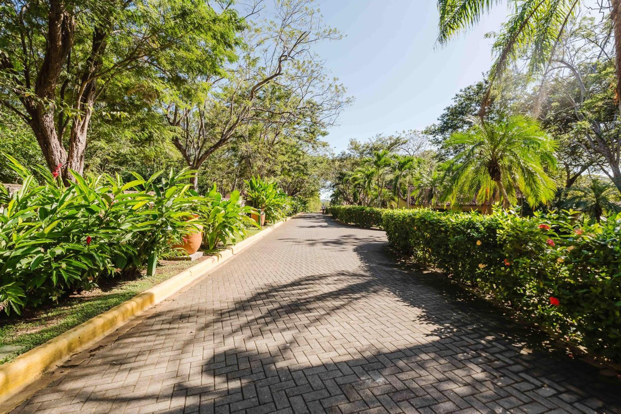 Papagayo Golden Palms Beachfront Hotel Panamá エクステリア 写真
